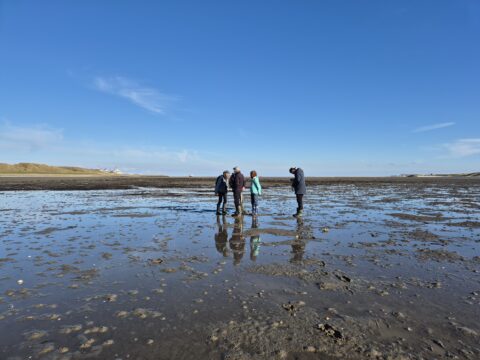 Vier mensen lopen over een uitgestrekte modderige kust onder een heldere blauwe lucht.