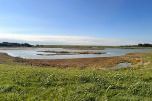 Een uitgestrekt wetlands met gras, water en een helderblauwe lucht.