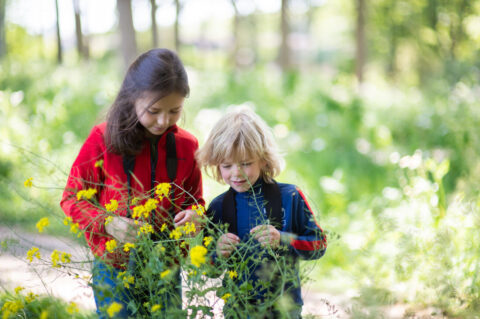 Twee kinderen verkennen bloemen in een zonnig bos.