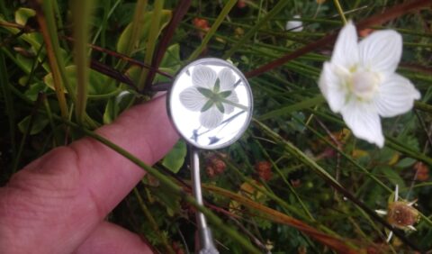 Een spiegel reflecteert een witte bloem in een groene, natuurlijke omgeving.