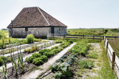 Moestuin met groenten en kruiden, naast een bakstenen schuur met een rood pannendak.
