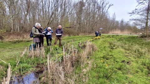Mensen observeren natuur in een bosrijke omgeving met gras en bloemen.