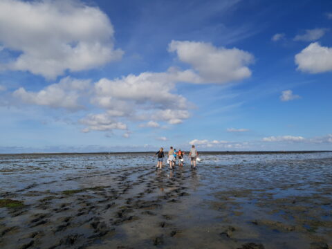 Een groep mensen wandelt over een waddenzee bij eb, onder een blauwe lucht met wolken.
