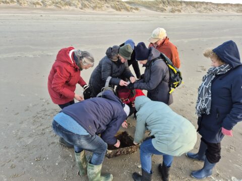 Groep mensen onderzoekt object op een winderig strand, gekleed in warme jassen en laarzen.