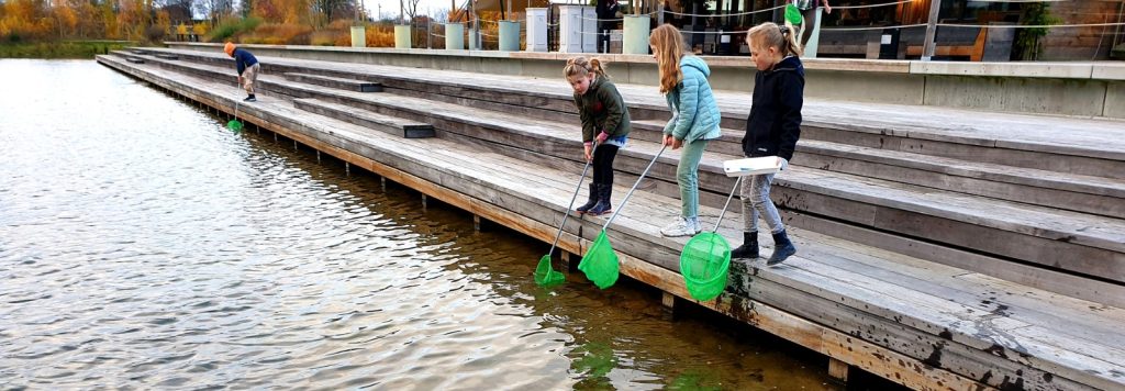 Kinderen vissen met groene netten vanaf houten steigers bij een vijver.