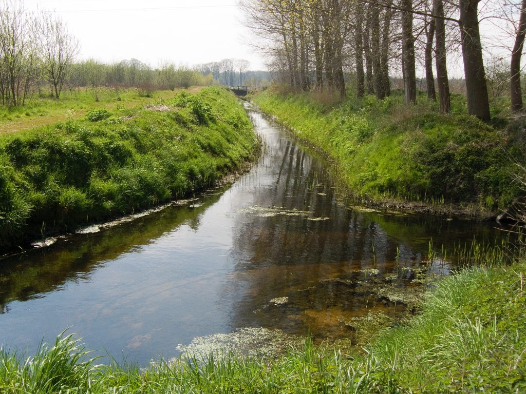 Klein kanaal kronkelt tussen groene oevers, langs rijen bomen onder een heldere lucht.