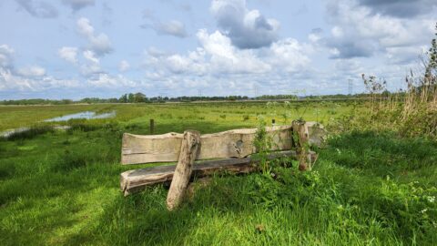 Oude houten bank in een groen landschap met gras en wolkenluchten op de achtergrond.