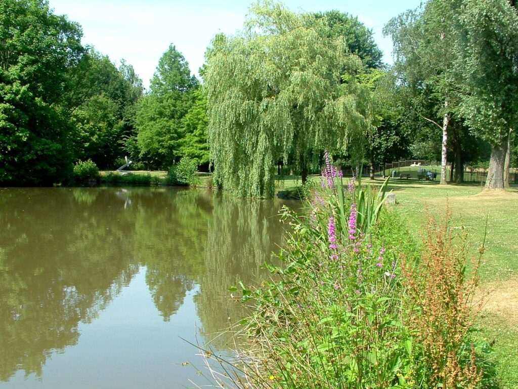 Foto Ad Koolen Quirijnstokpark