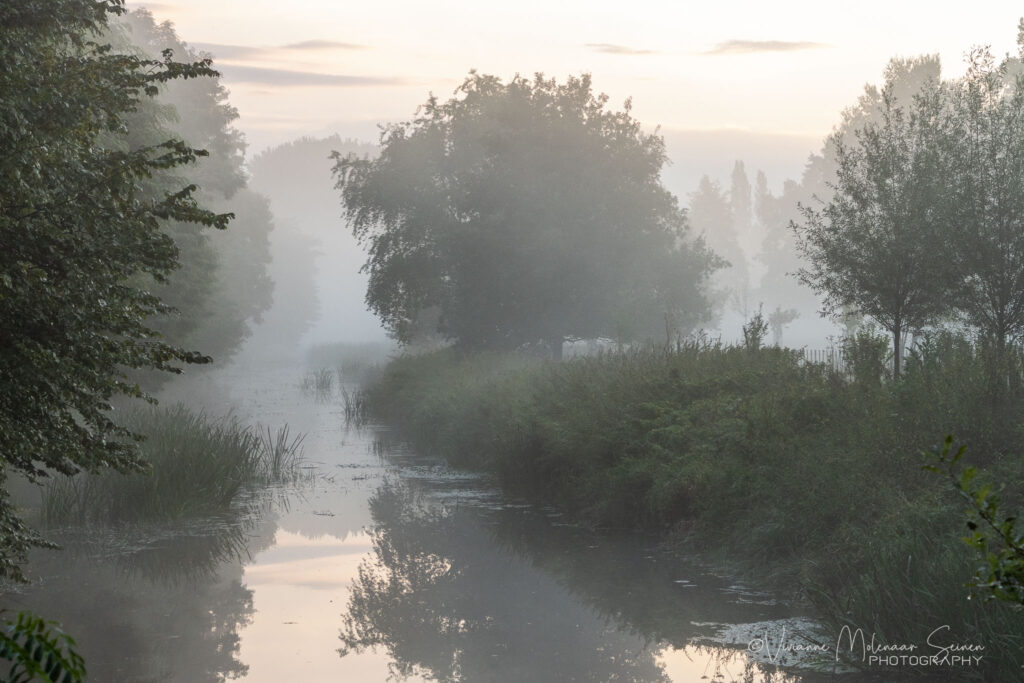 Mistige morgen als inspiratie foto Vivianne Molenaar