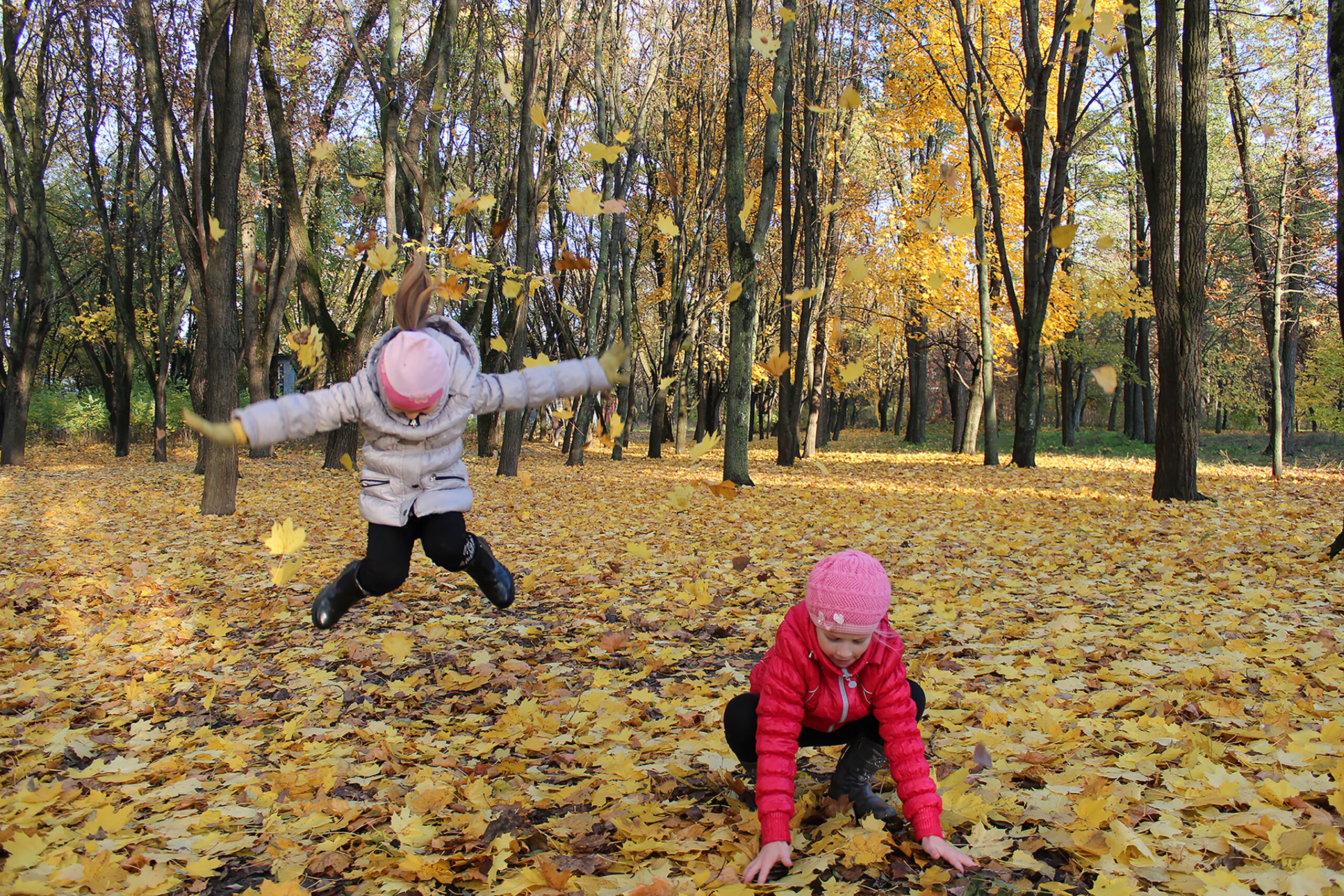 Kinderen spelen in een bos bedekt met herfstbladeren, vallende bladeren rondom hen.