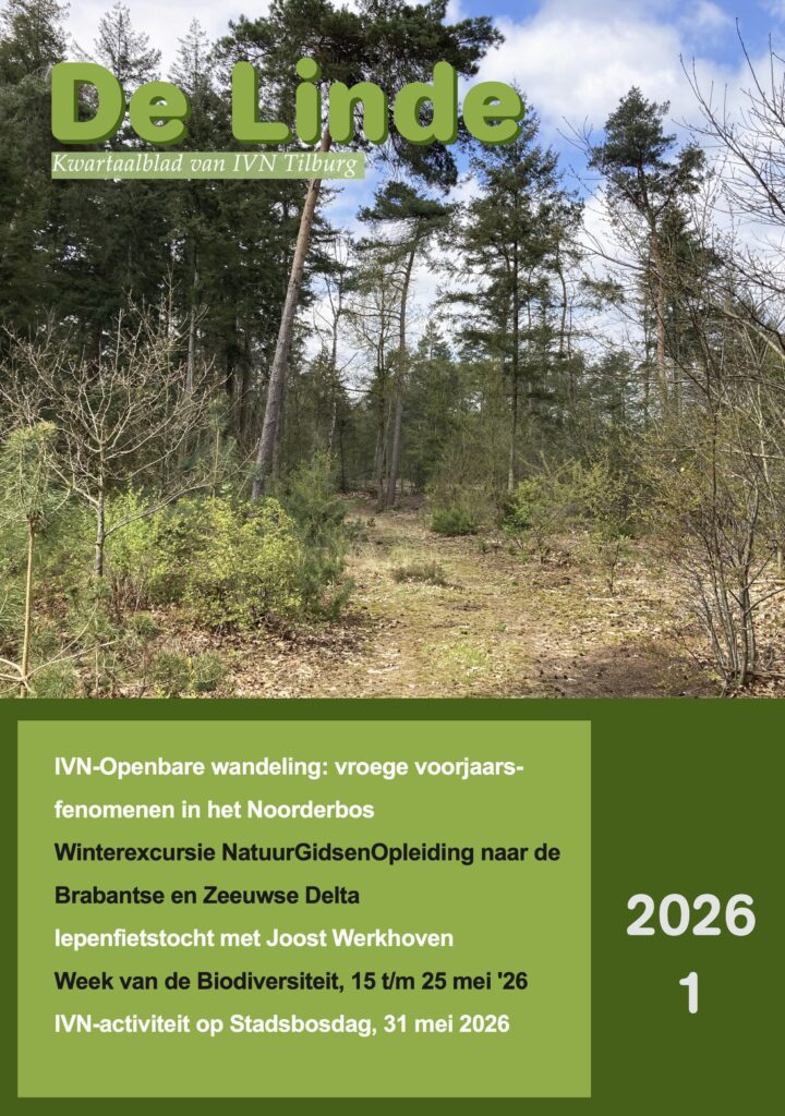 Omslag van "De Linde" met een boslandschap en activiteiten van IVN Tilburg.