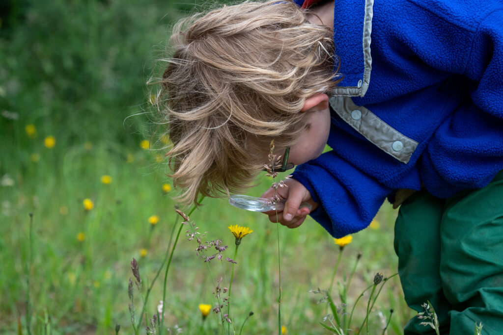 Kind in blauwe jas onderzoekt veldbloemen met vergrootglas in een groene weide.