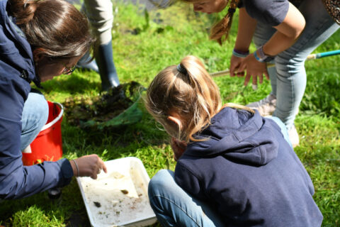 Drie personen onderzoeken watermonsters in een bak op gras in de zon.