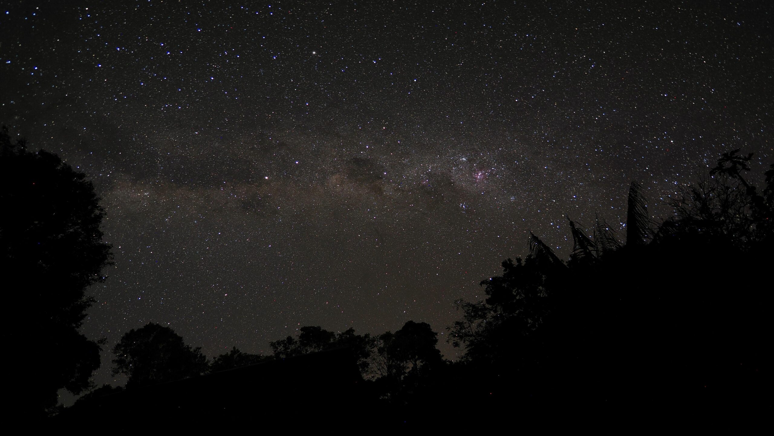 Sterrenhemel met heldere Melkweg boven silhouetten van bomen.