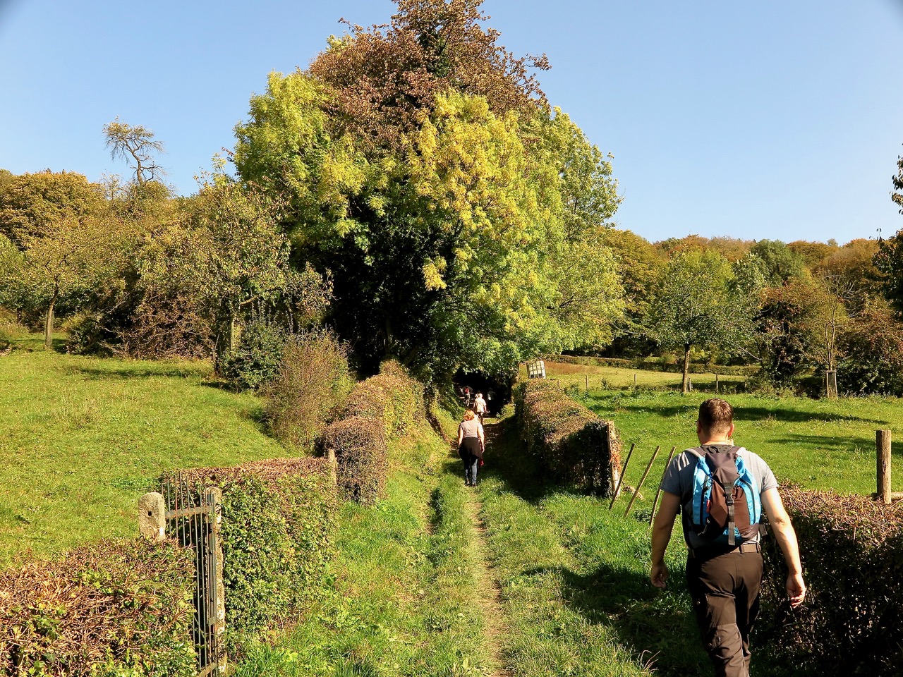 Wandelprogramma 2022