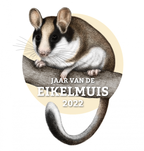 Op stap in de regio: Savelsbos