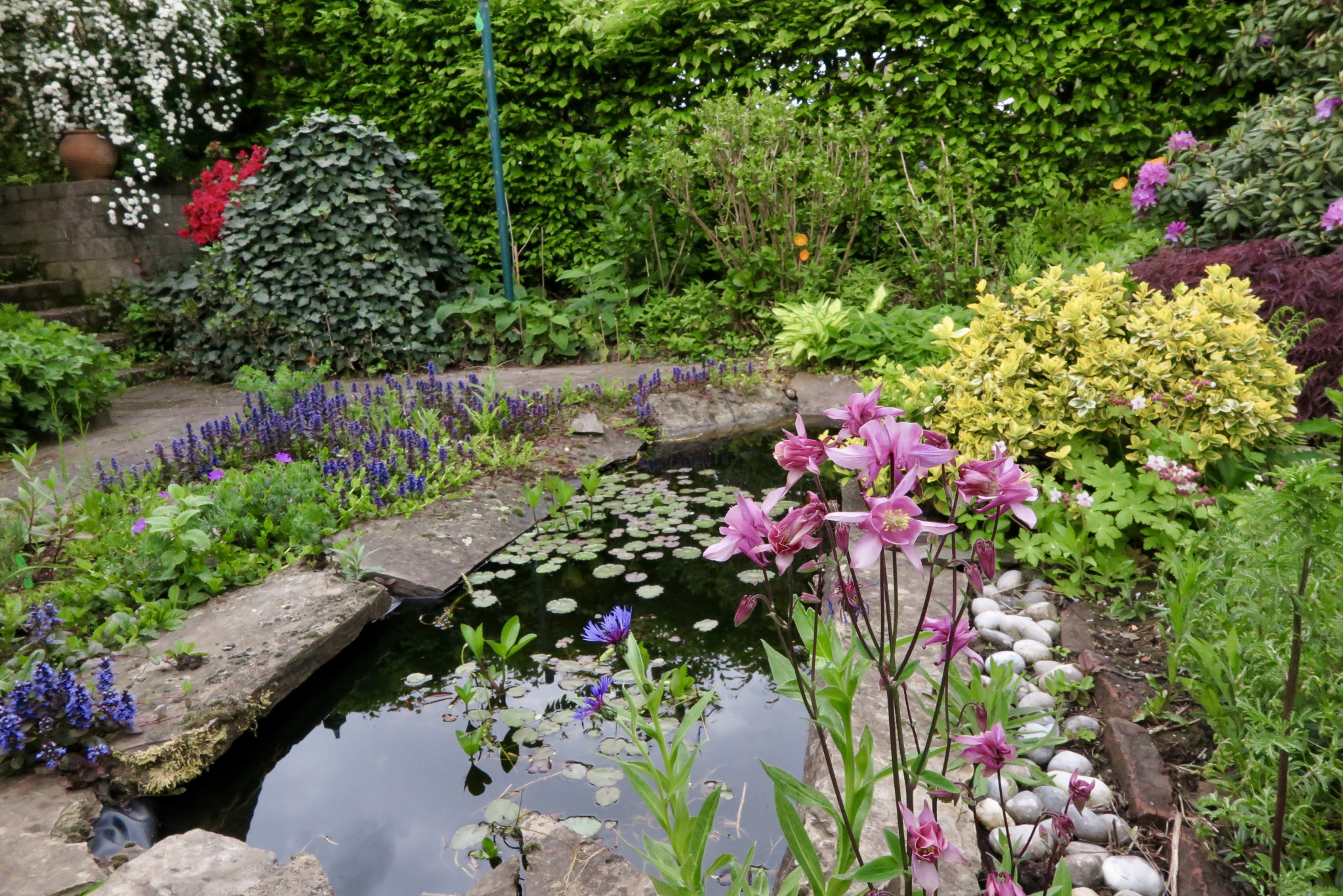 Biodiversiteit in eigen tuin