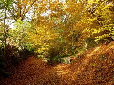 Foto’s & Video’s