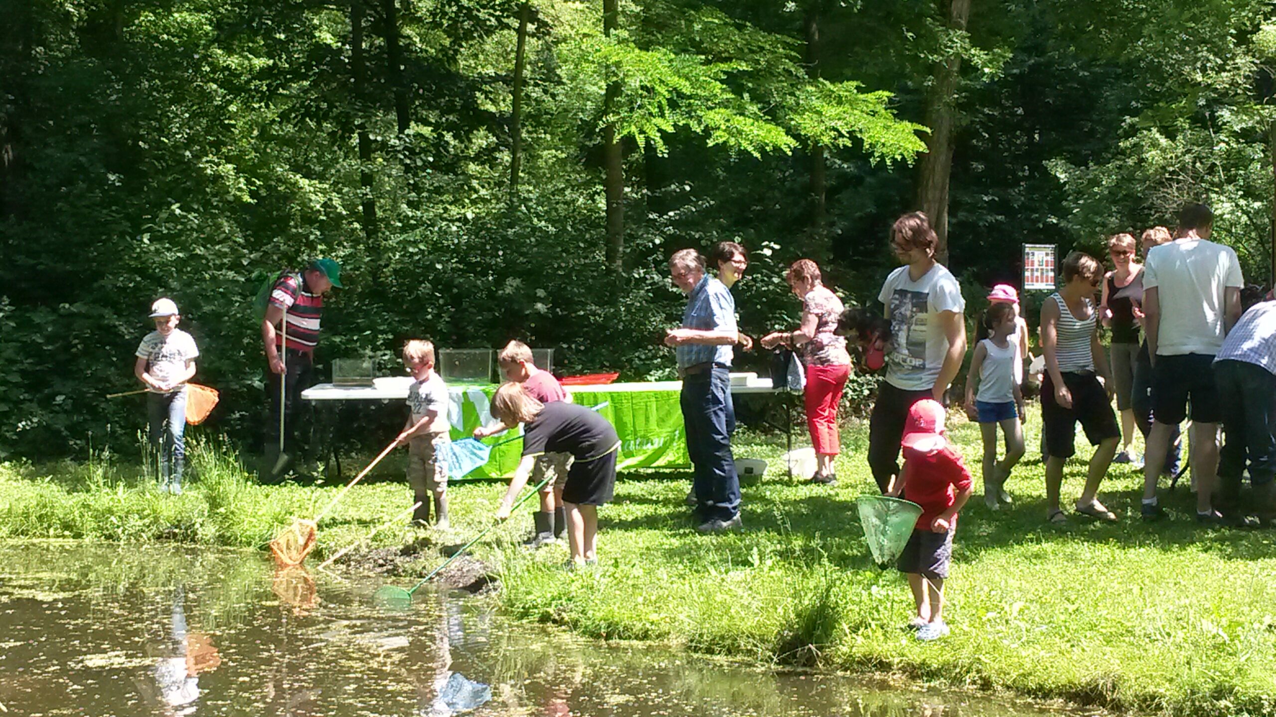 Kinderen vangen insecten bij een bosvijver met schepnetten, omgeven door volwassenen op een zonnige dag.