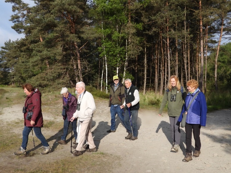 Groep wandelaars met verrekijkers loopt op een bospad onder de bomen.
