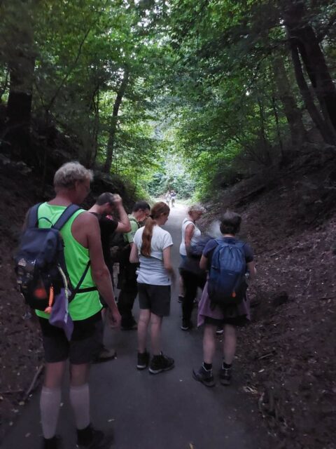 Groep wandelaars op een bospad omgeven door groen bladerdak.