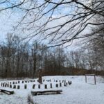 Besneeuwd bos met cirkel van boomstronken en een houten kinderklimrek op de voorgrond.