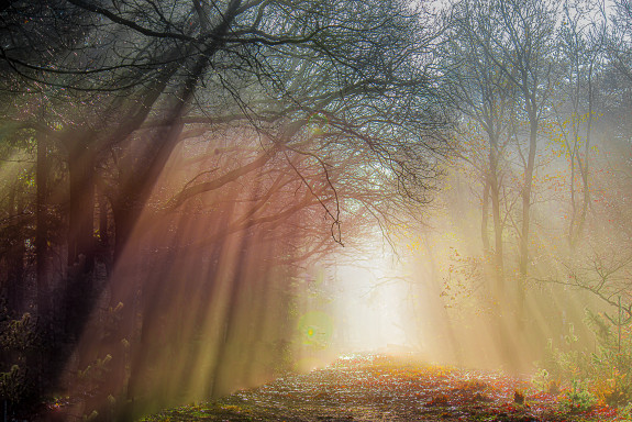 013 HvdPas Wisentraster Schaijkse heide