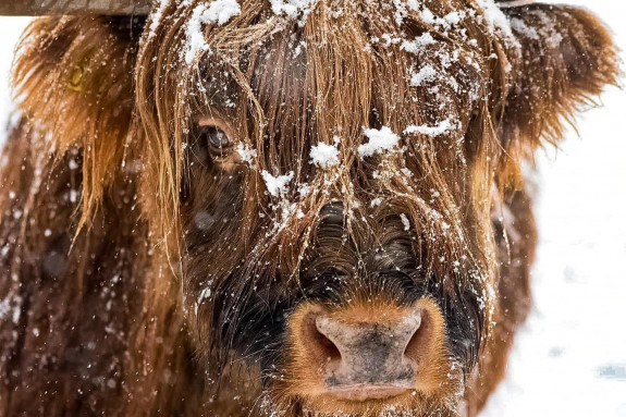 024 YAzdad Maashorst