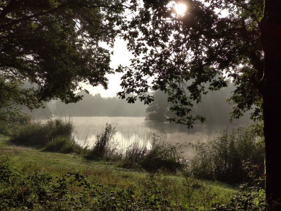 071 RVerstegen zonsopgang Kleuter