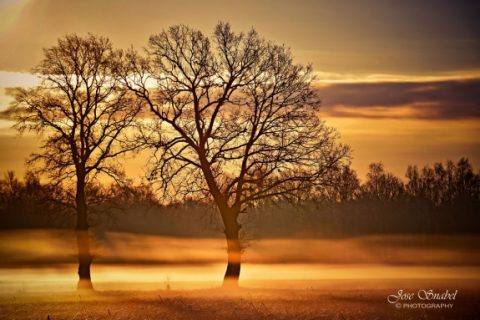 079_jsnabel_bundersweg_volkel