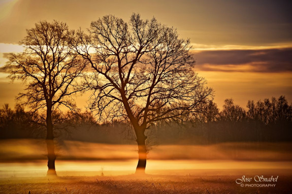 079 JSnabel Bundersweg Volkel