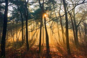 086_mvkatwijk_goede_morgen_bedaf