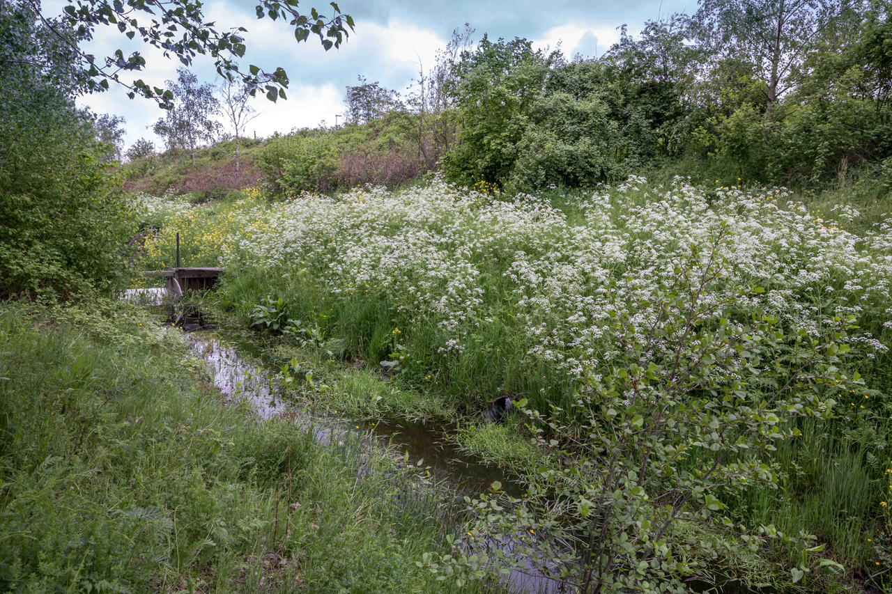 Een halve eeuw IVN-Uden en nog steeds springlevend!