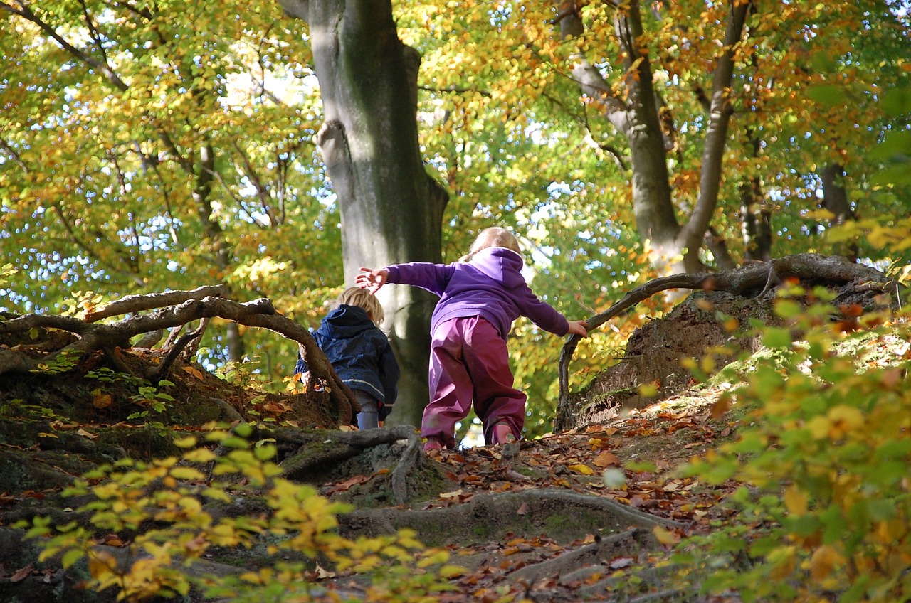 Scharrelkids; herfst in het bos