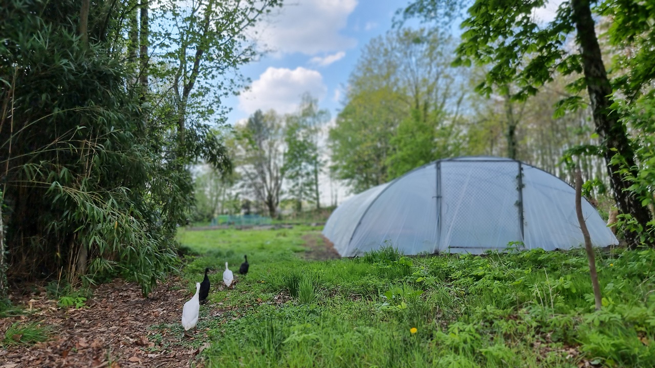 Een voedingsbos in Reek