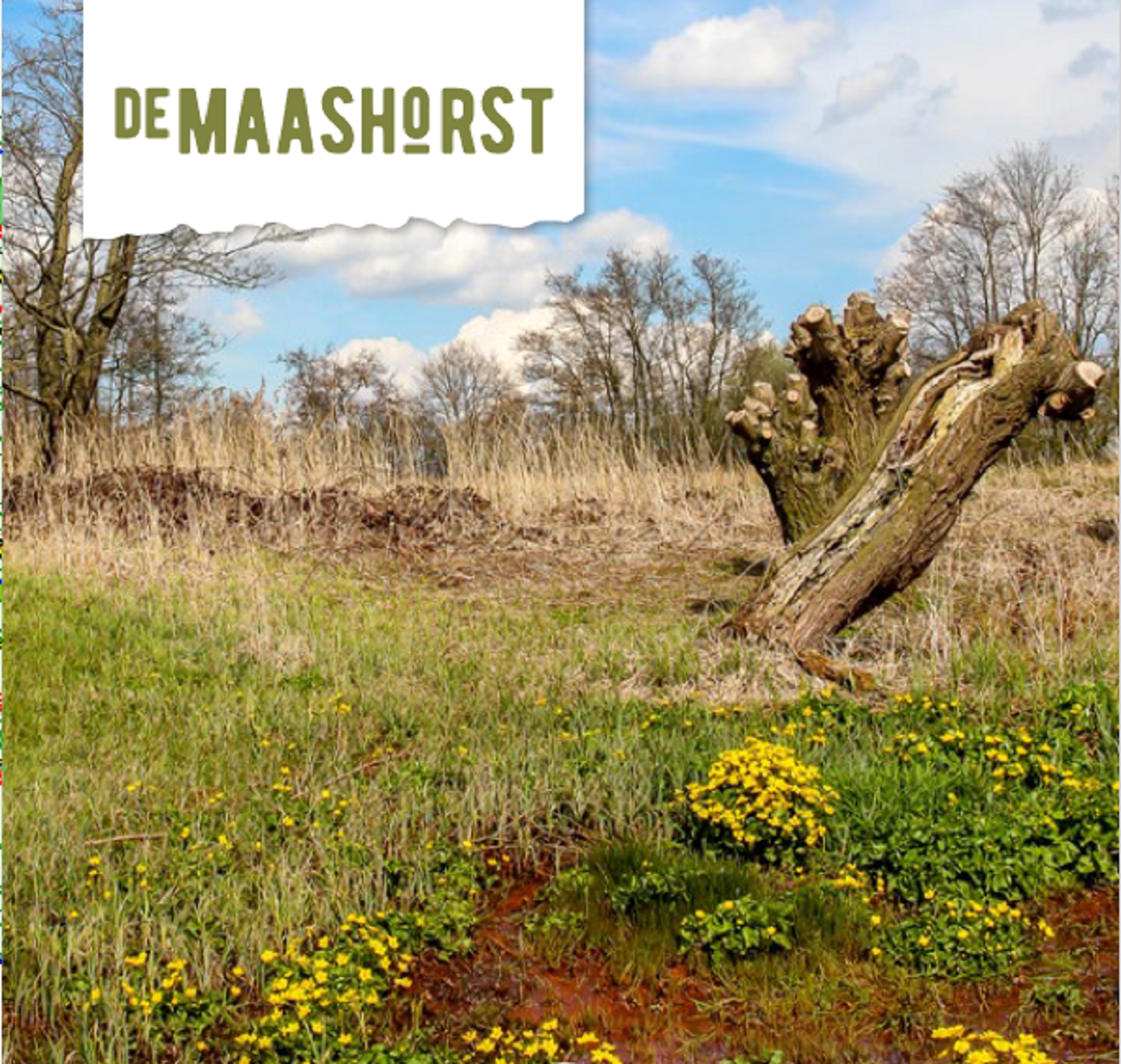 Verslag Berg en Breukroute 24 april 2022