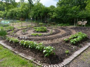 D’n Hof van de Toekomst