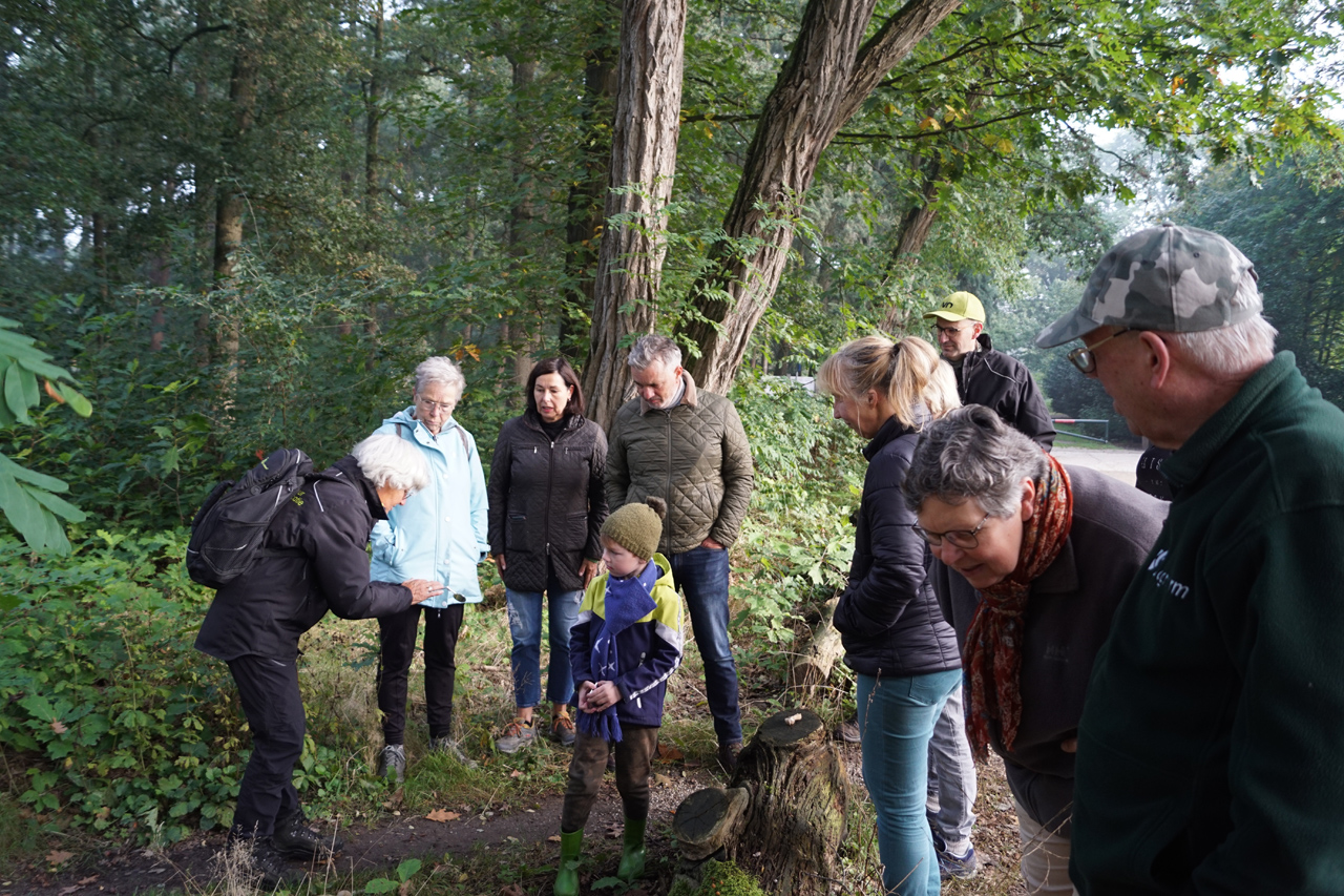 Kleuren van de herfst; paddenstoelenwandeling met soep