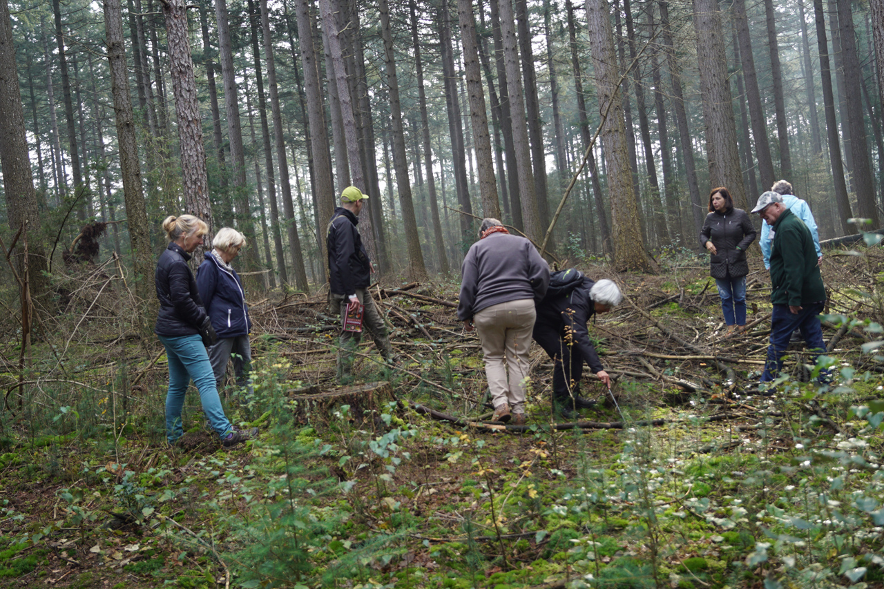 Wandelverslag Paddenstoelenwandeling
