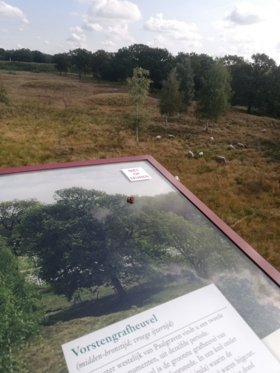 IVN Uden - Fietstocht grafheuvels