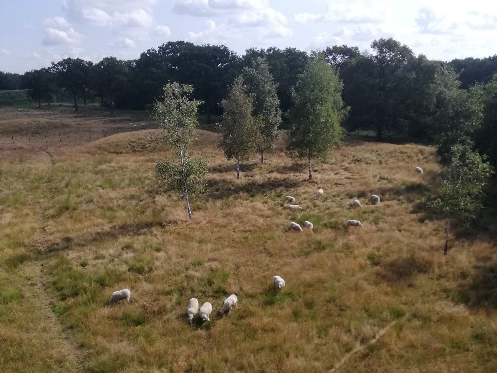 Verslag van IVN fietstocht naar de grafheuvels