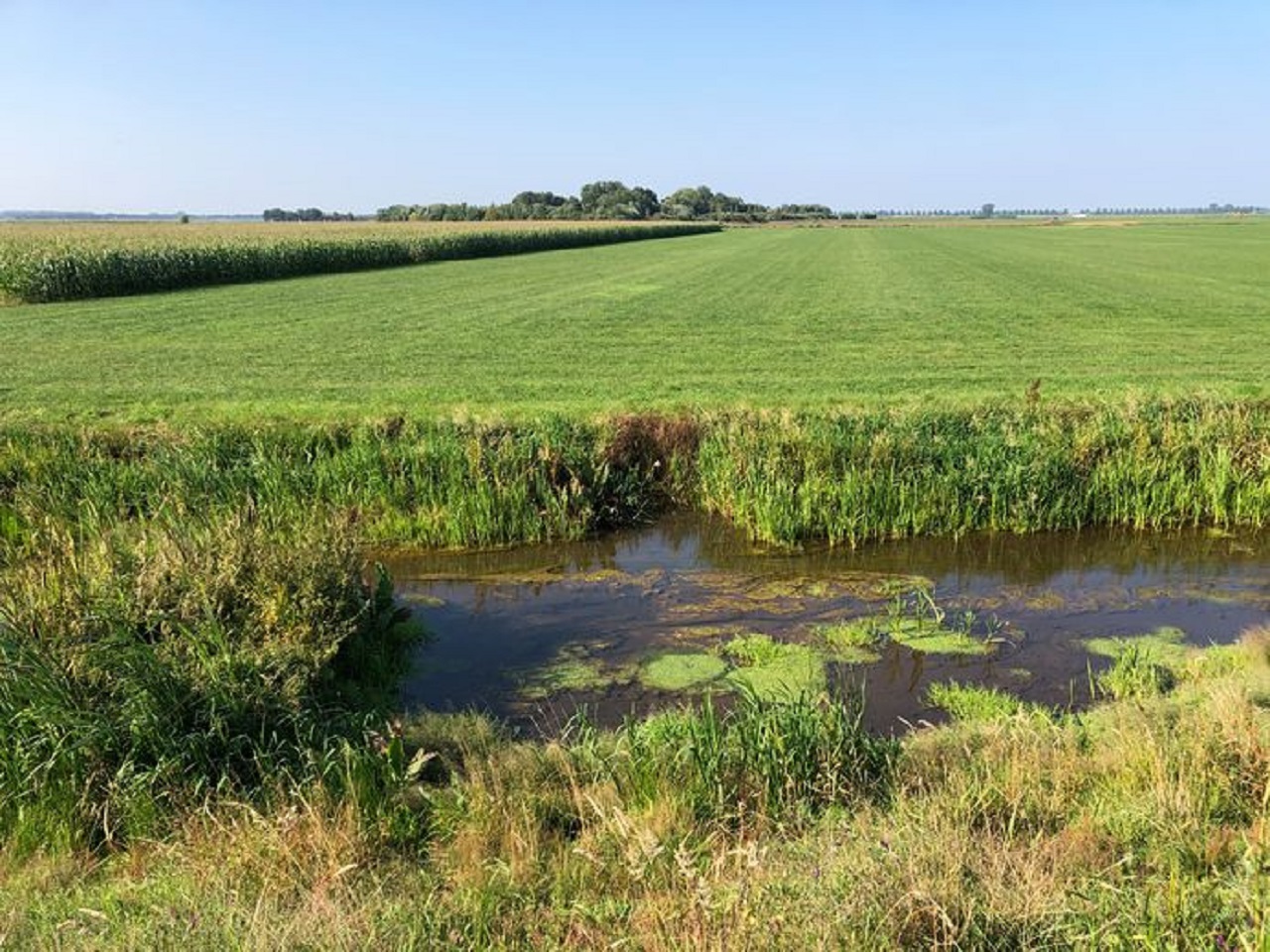 Lezing: Succes van de Osse polder door Marco Rennes