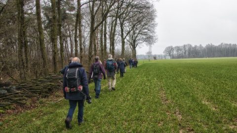 Mensen wandelen op een pad langs een bosrand, naast een open grasveld.