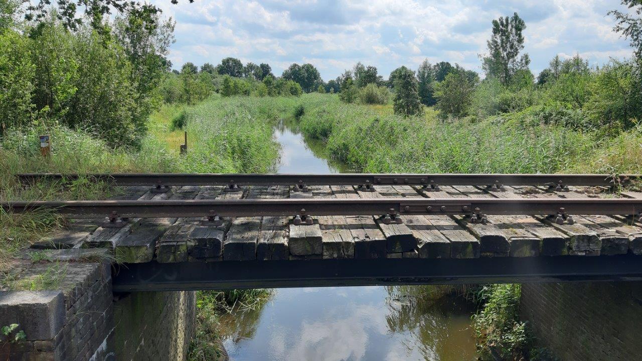Spoorbrug over een smalle waterweg, omgeven door groene natuur en begroeiing.