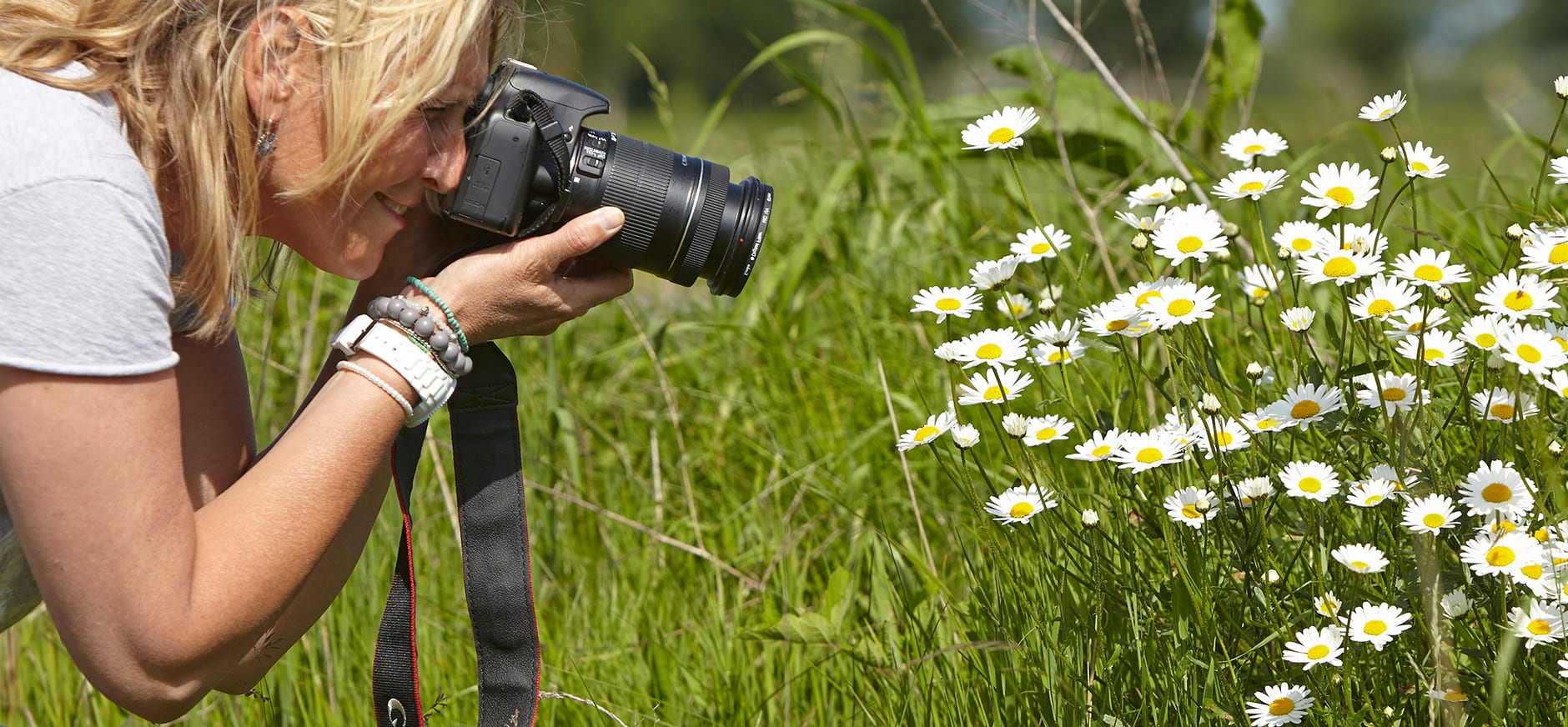 Vrouw fotografeert margrieten in een groene weide met een camera.