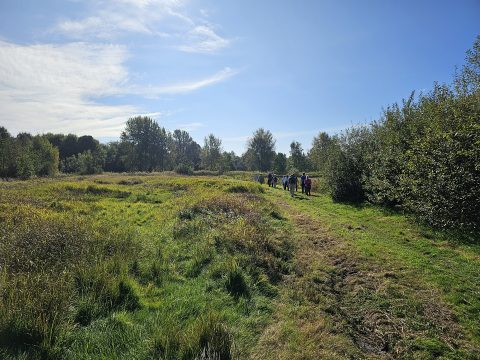 Groep wandelaars op pad, omringd door groen landschap en bomen onder een heldere lucht.