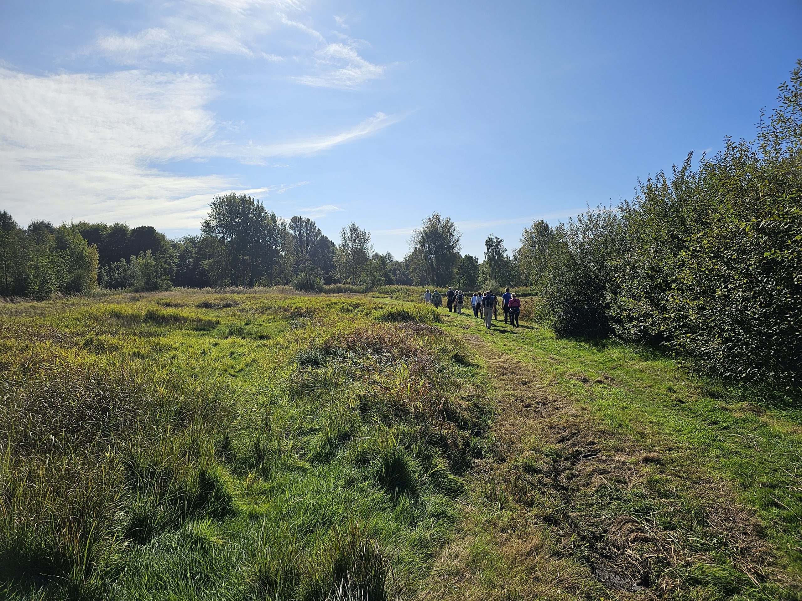 Groep wandelaars op pad, omringd door groen landschap en bomen onder een heldere lucht.