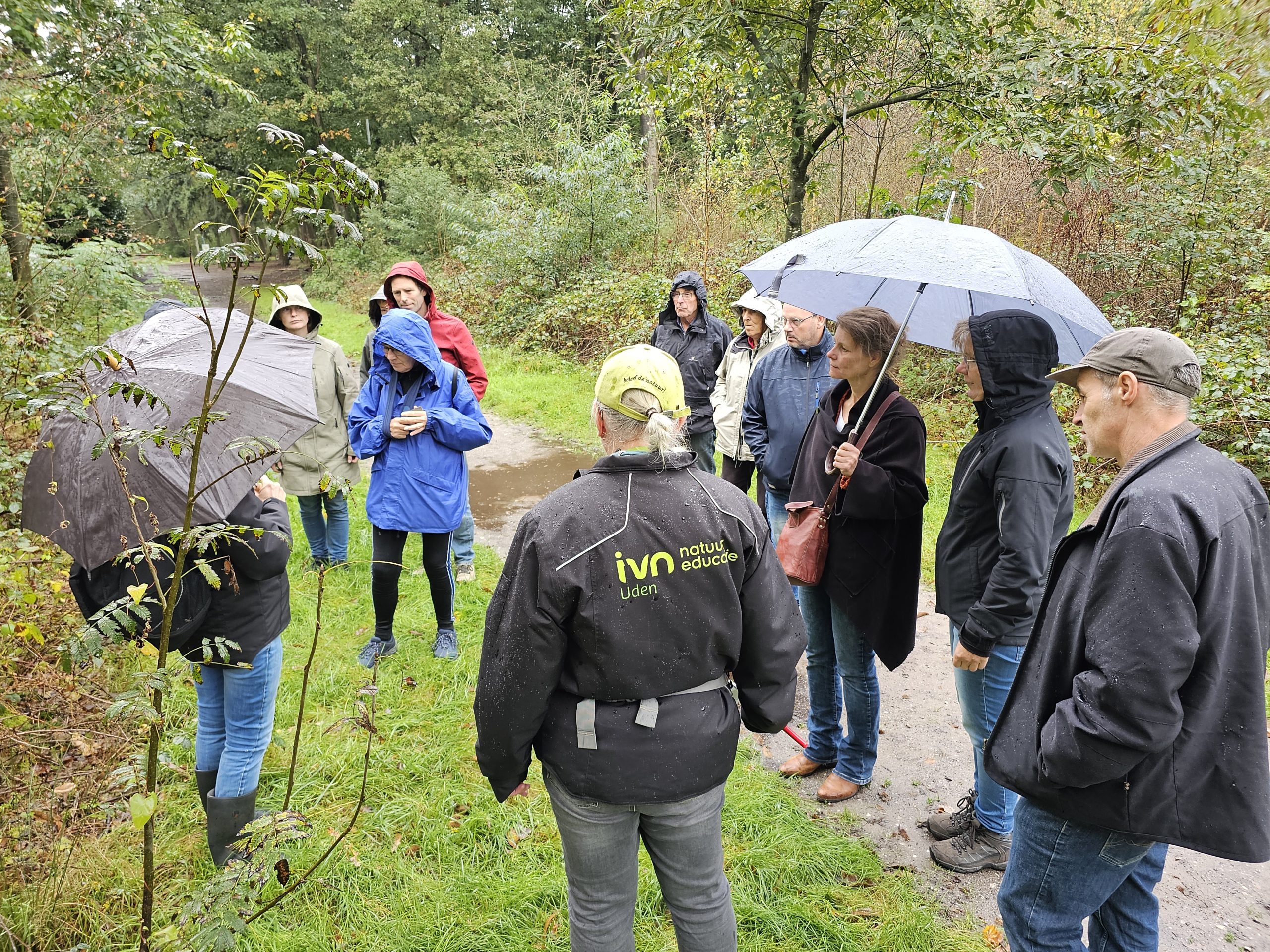 Groep mensen met regenjassen en paraplu's tijdens een natuurwandeling in een bos.