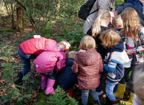 Kinderen onderzoeken de bosbodem in een groep tijdens een buitenactiviteit.