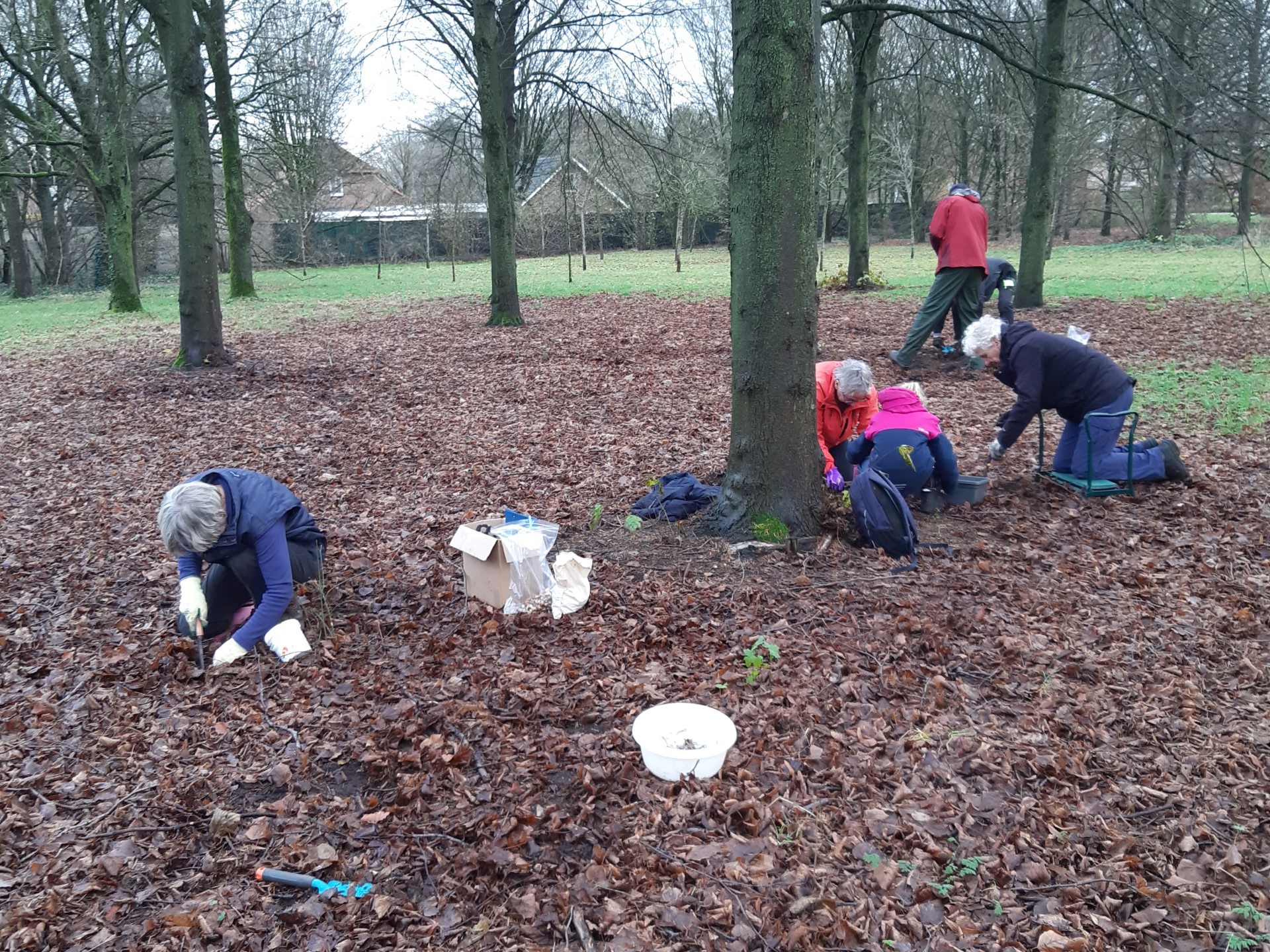 Mensen graven in een bosrijk gebied, omringd door bladeren en bomen.